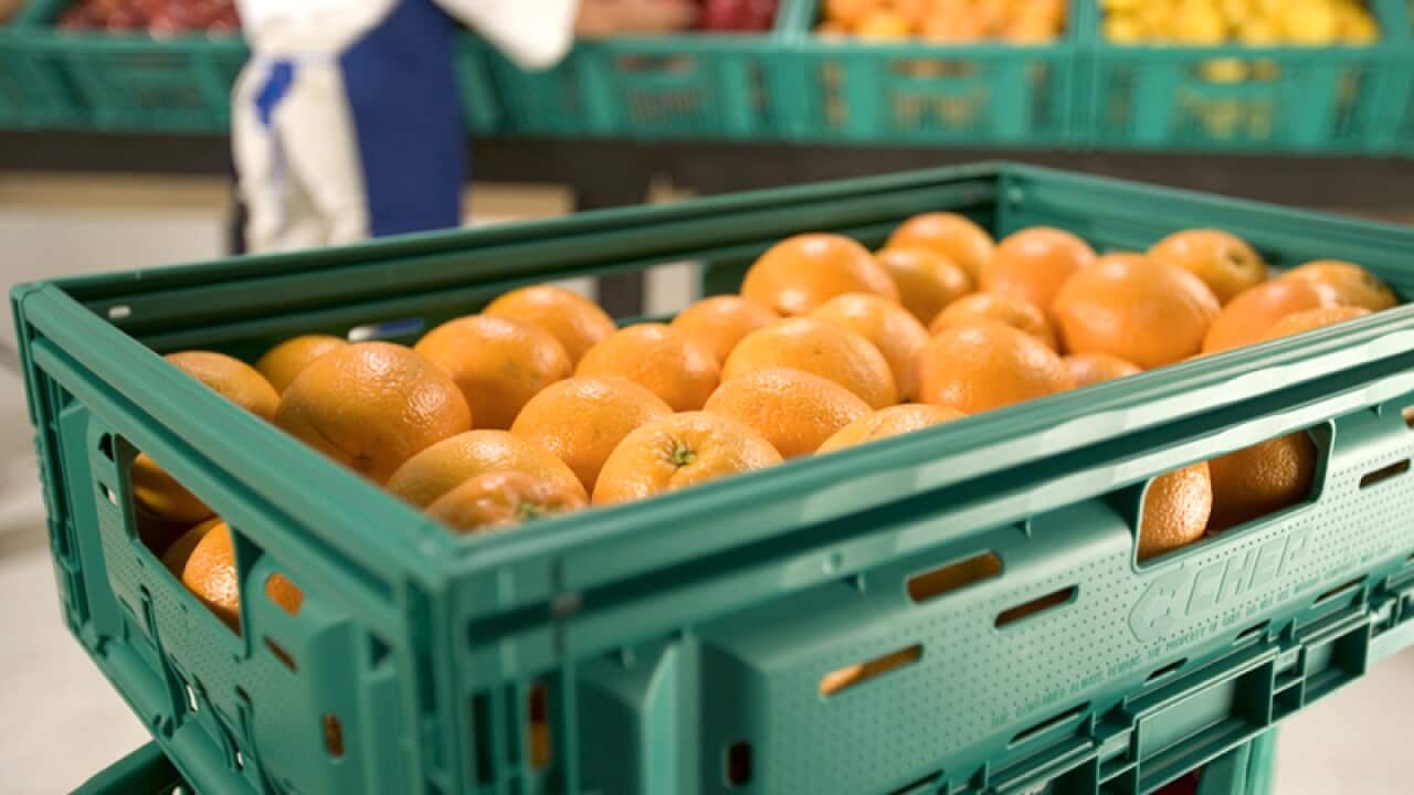 A CHEP plastic crate