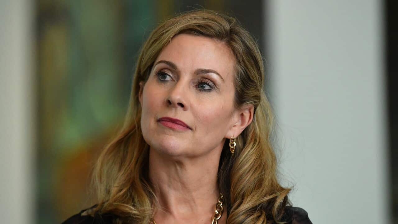 ERIN MOLAN ESAFETY PRESSER