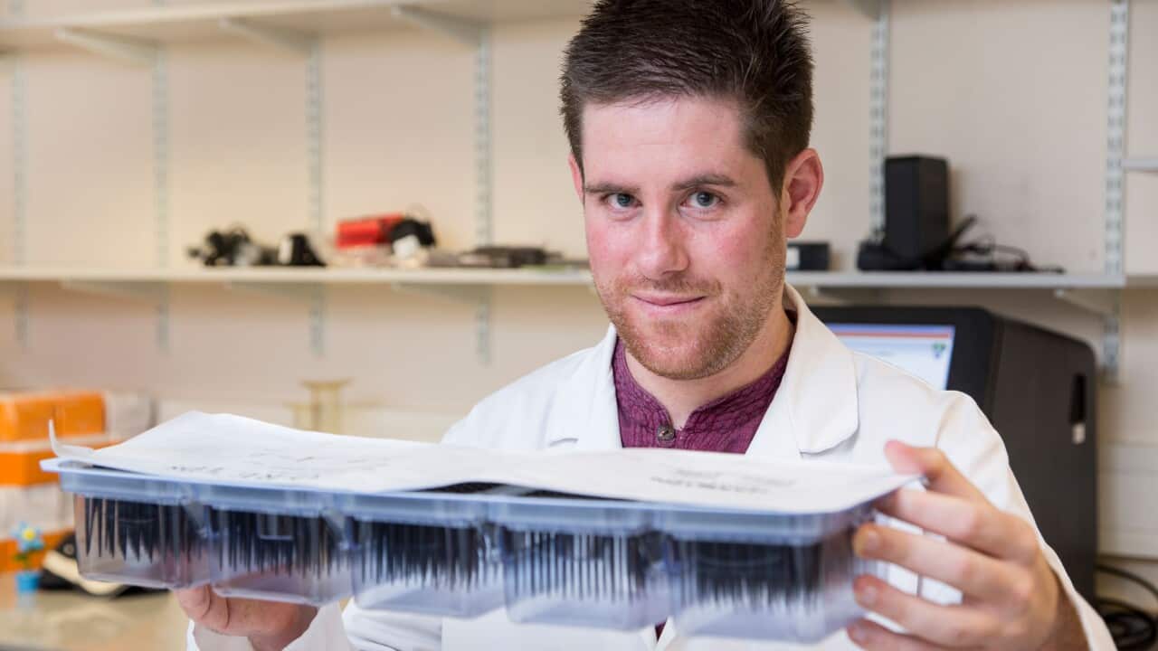 Image for read more article ''