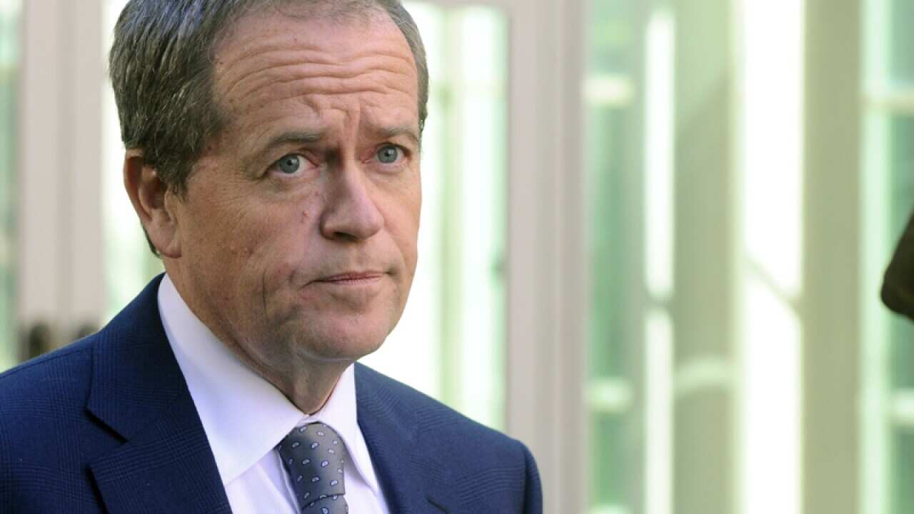 Opposition Leader Bill Shorten