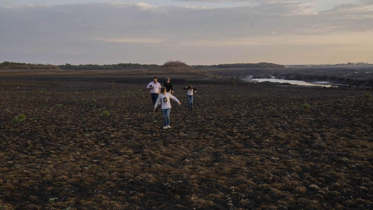 Image for read more article ''