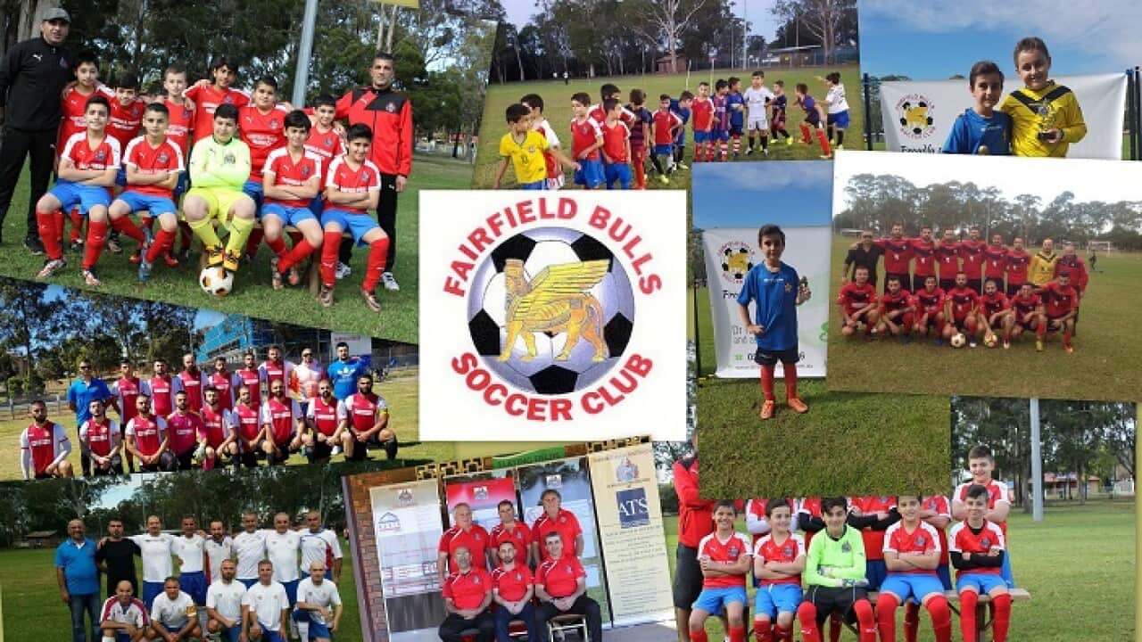Fairfield Bulls Soccer Club teams