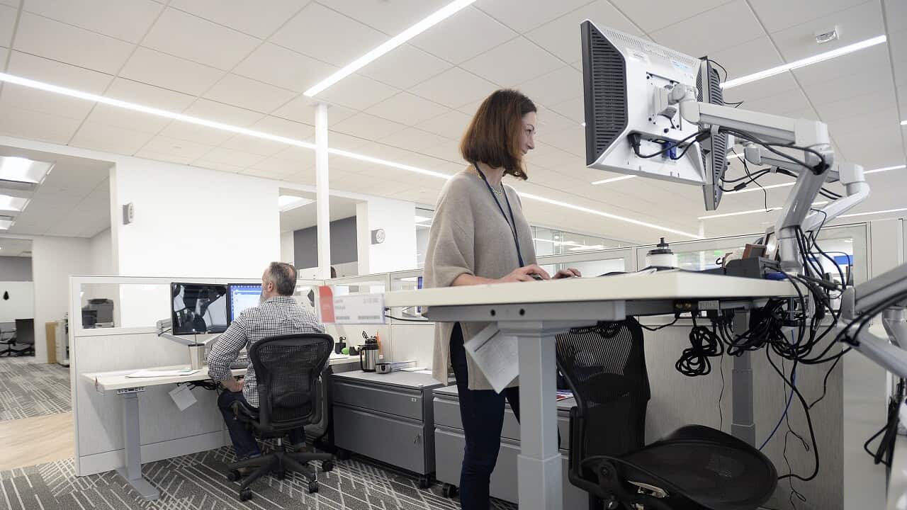 Standing desks could help reduce obesity rates, according to a study.