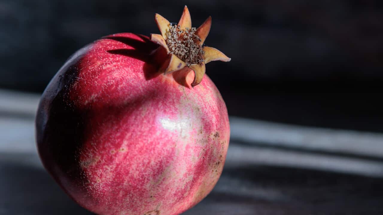 Whole greek pomegranate on kitchen table close up