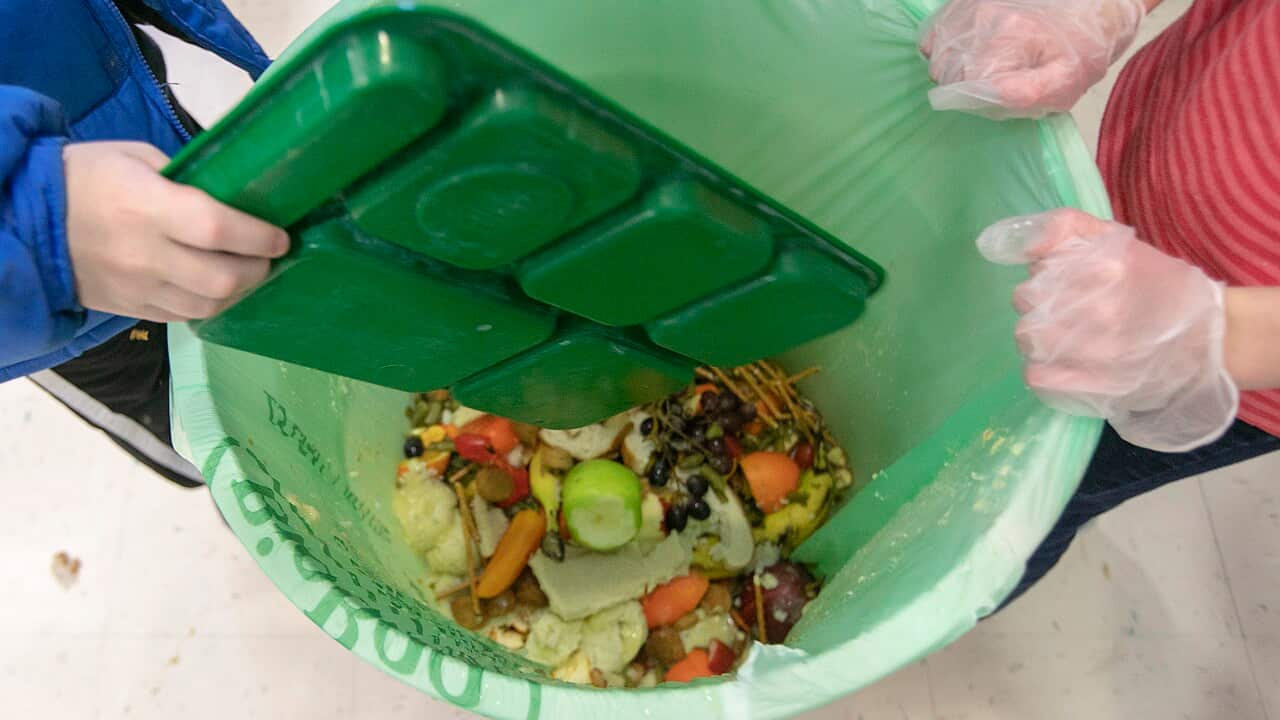UN Food Waste Report