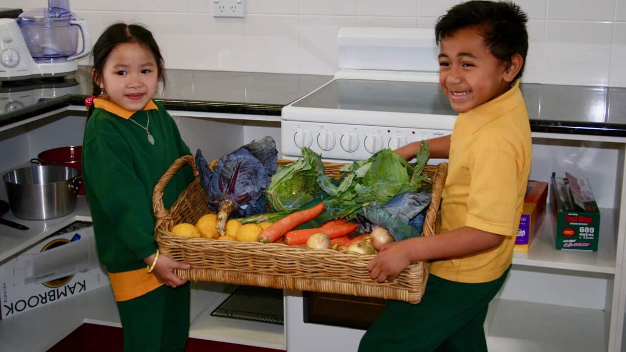 Image for read more article ''