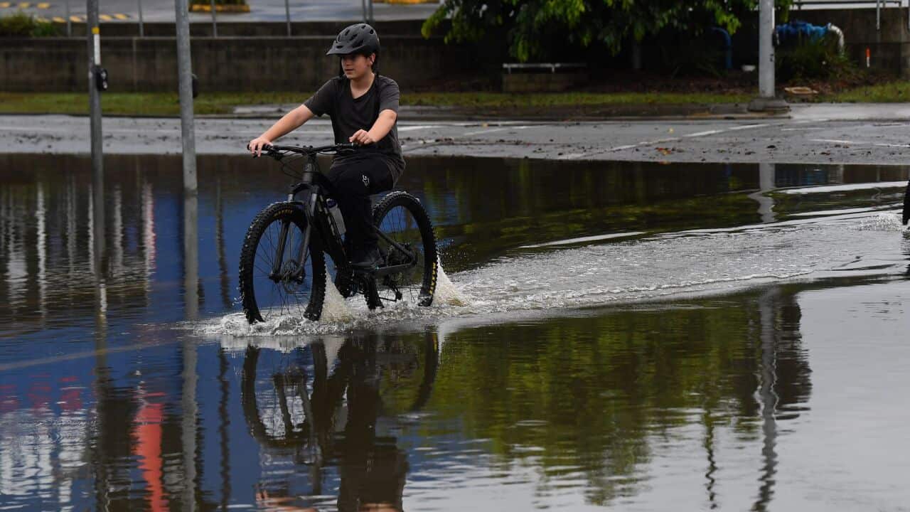 20250310172421807650-original.jpg