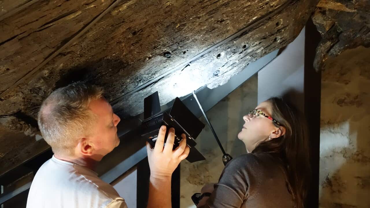 Researchers take wood samples of the Batavia shipwreck