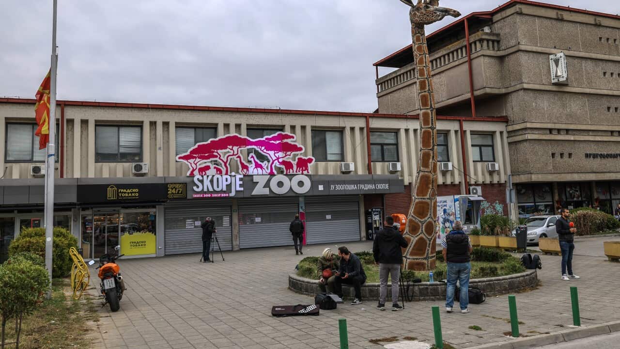 Skopje Zoo is closed due to suspicion that some birds died from bird flu