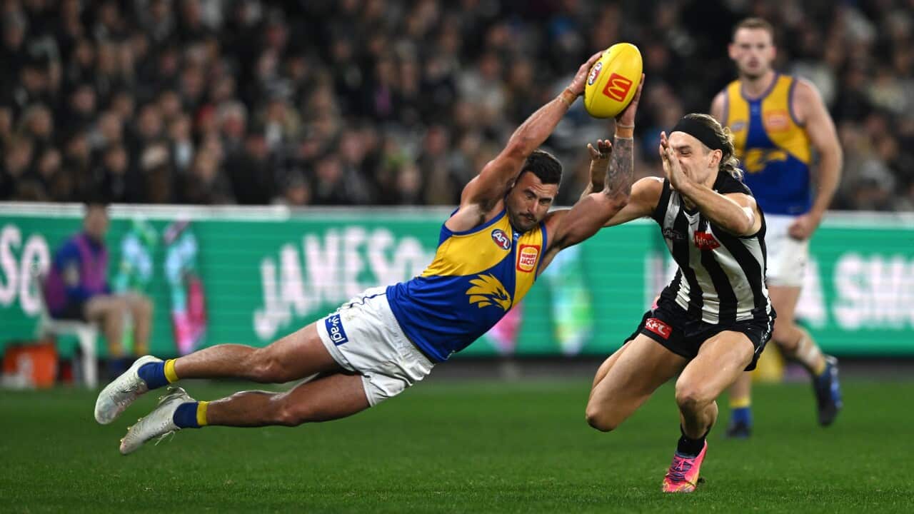 Image for read more article ''