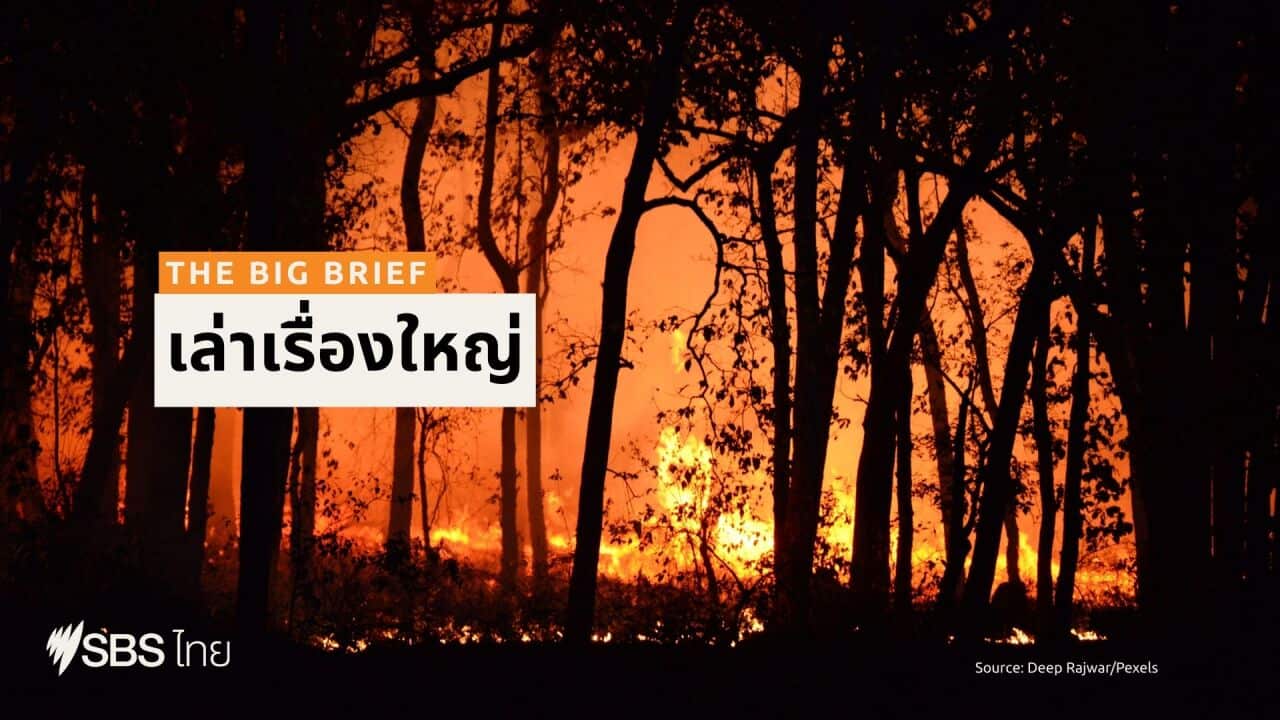 BS Cover-The Big Brief-Fire VIC