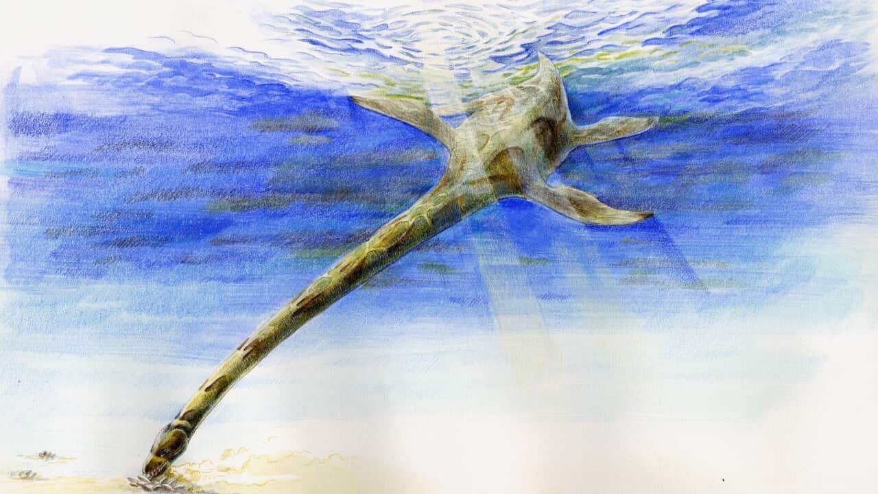 Image for read more article ''