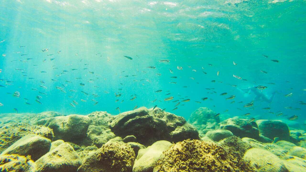 The consequences of climate change are real.