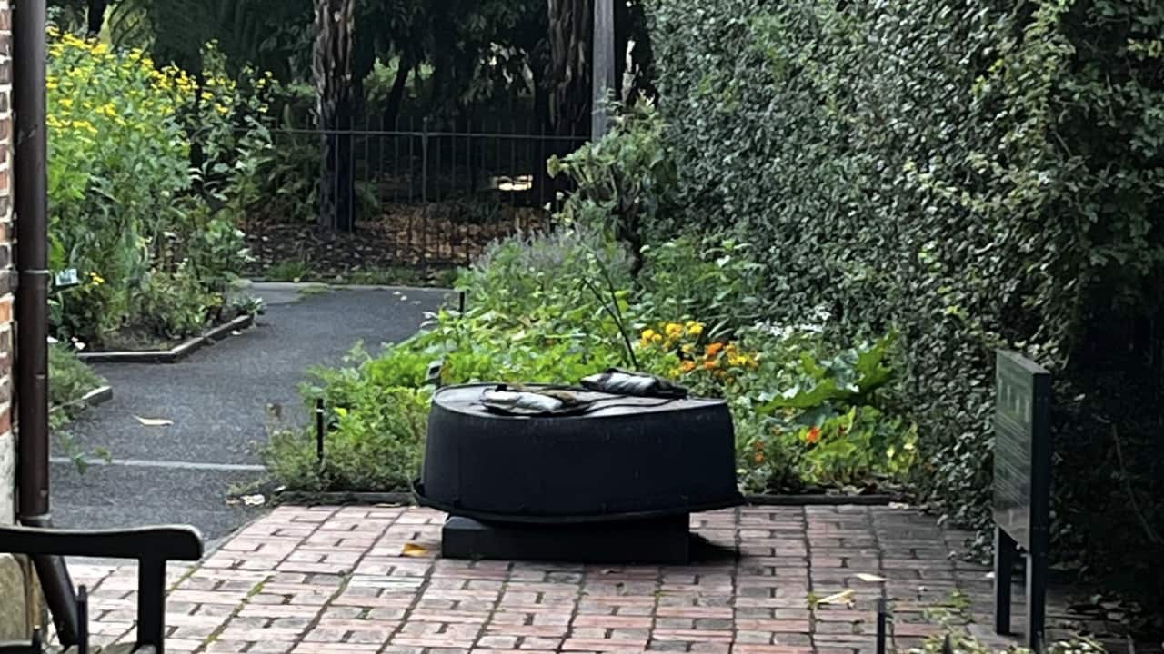 Captain Cook statue.png