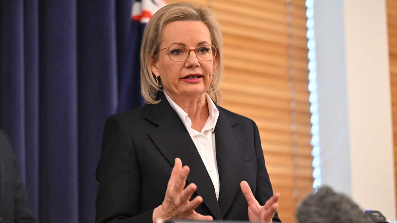 SUSSAN LEY PRESSER