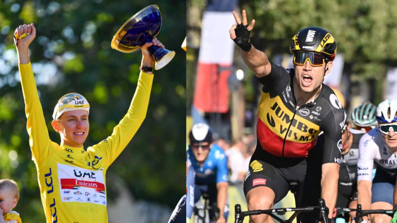 Tadej Pogacar e Wout van Aert