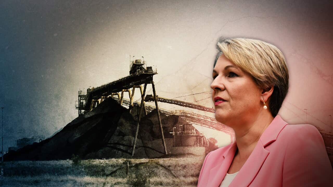 Graphic showing coal mine and Tanya Plibersek.