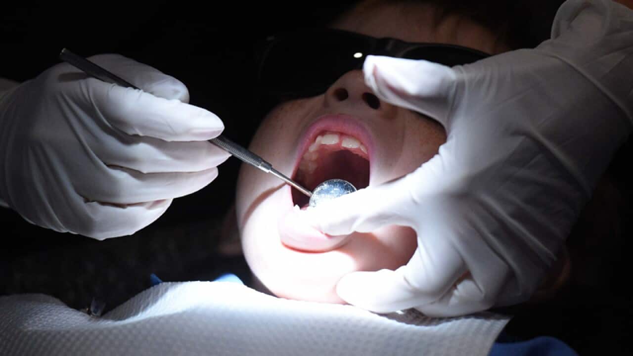 A young child during a dental exam in Sydney