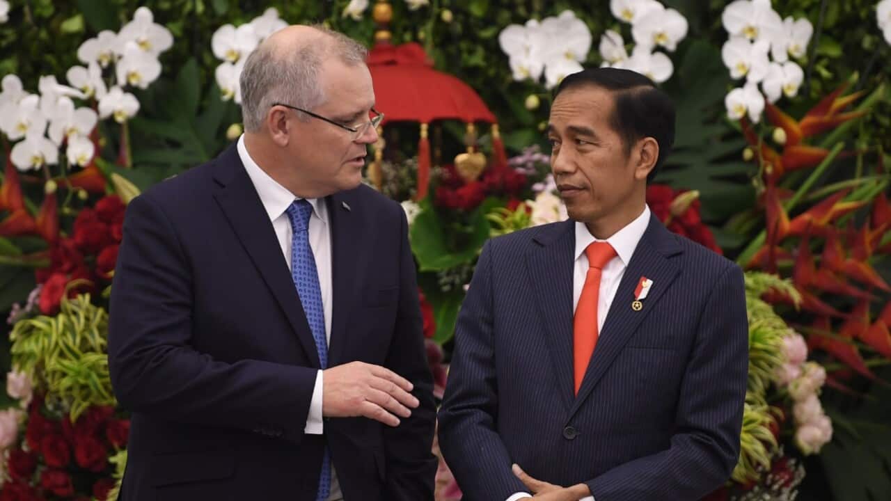Australian Prime Minister Scott Morrison and File: Indonesian President Joko Widodo speak as they witness a signing ceremony at Bogor Presidential Palace