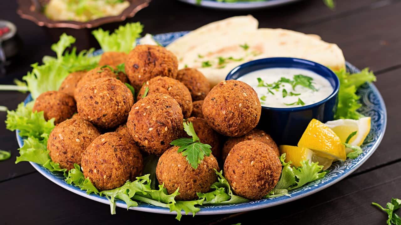 Image for read more article 'More falafel fun'