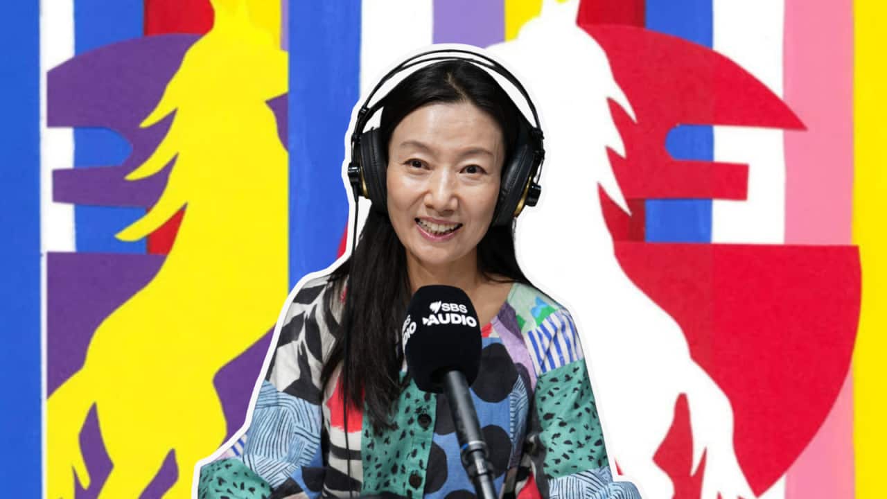 sydney city council sydney lunar new year the year of the red horse by hyun hee lee