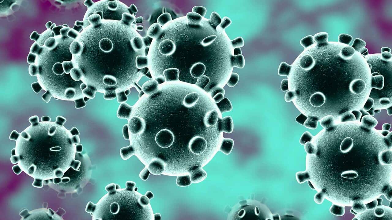 Coronavirus COVID 19