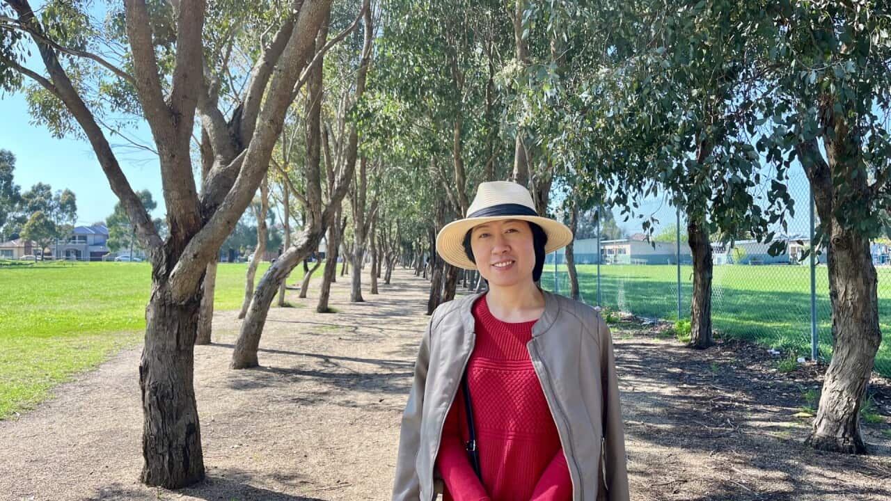 Trang Nguyen.jpg