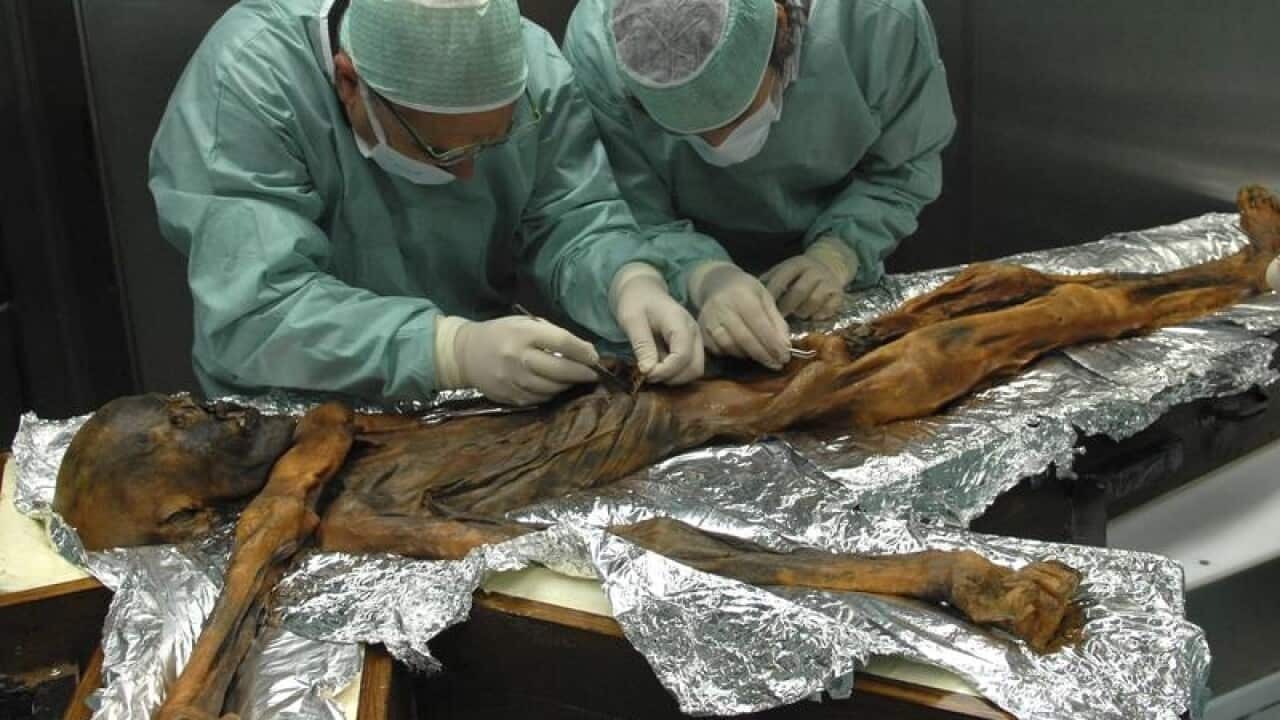 Researchers have examined the stomach contents of a frozen hunter.