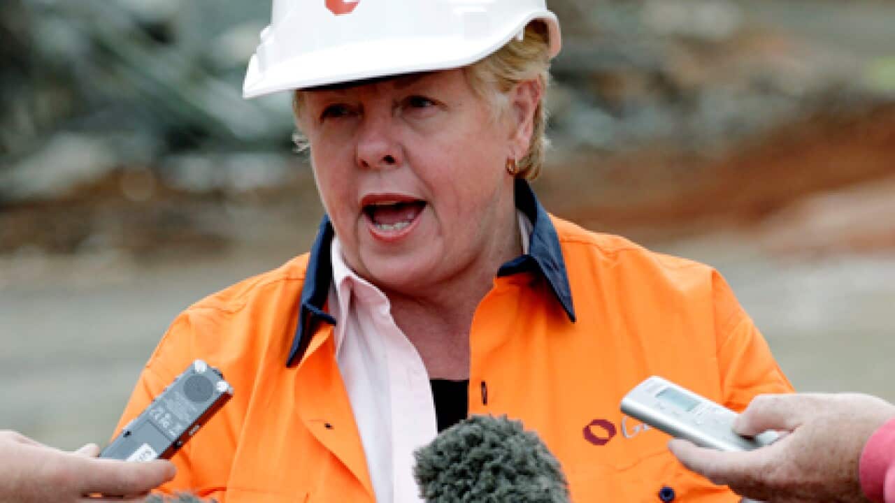 christine_nixon_bushfire_100406_B_aap_251906897