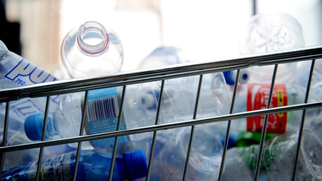 Environment, Plastic pollution