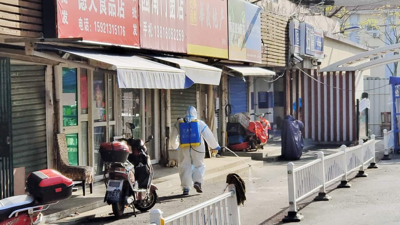 Image for read more article 'READ MORE'