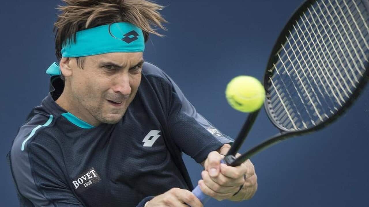 David Ferrer