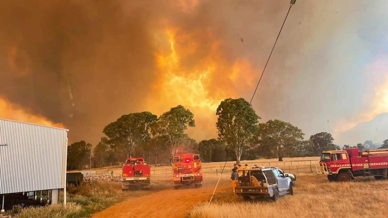 A group of fire trucks on a field in front of a large blaze