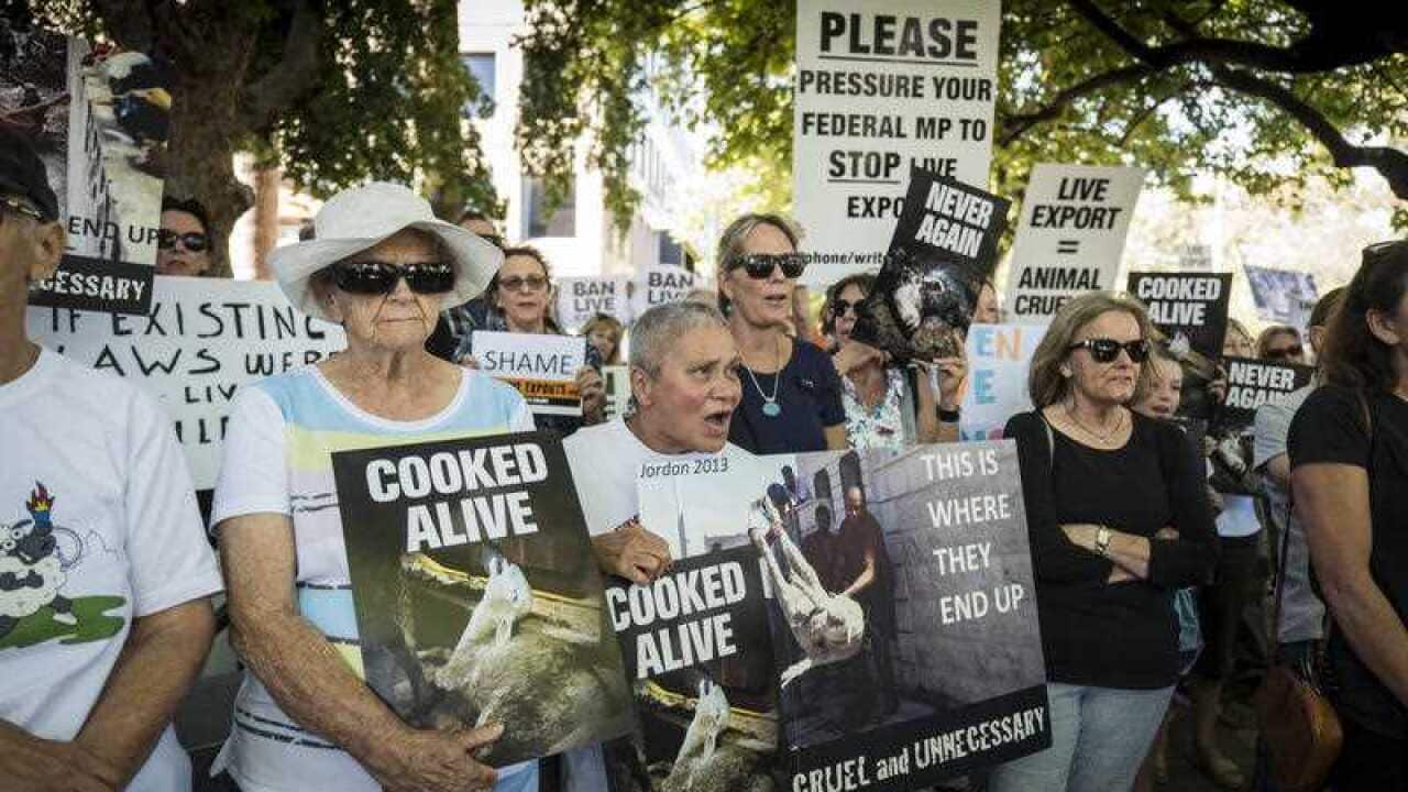Protesters outside the offices of Emanuel Exports in Perth, Monday, April 9, 2018.