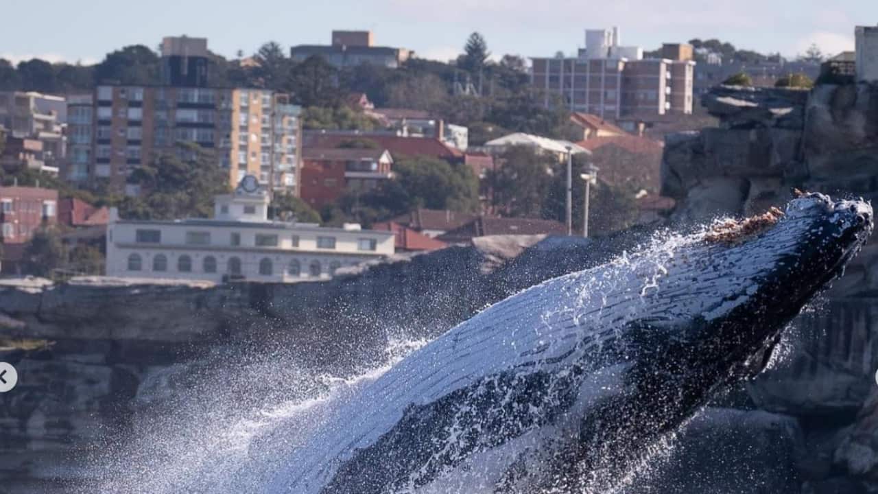 Image for read more article '更多內容'