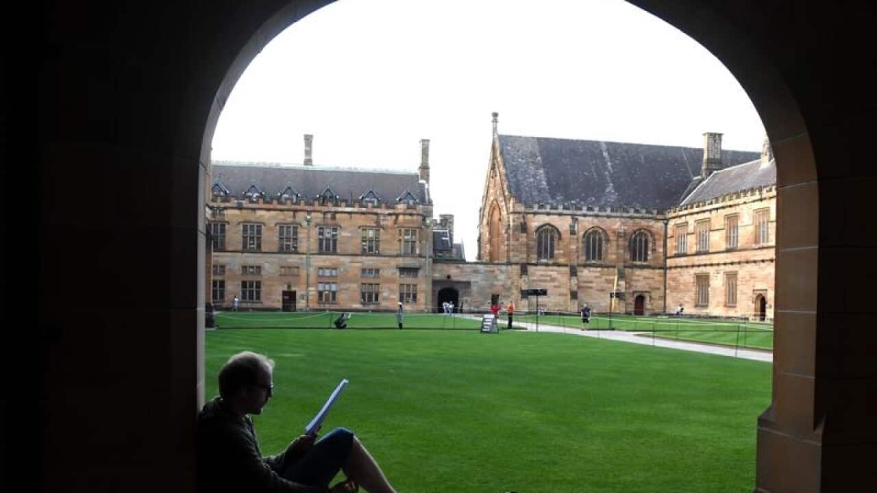Student reading at University of Sydney