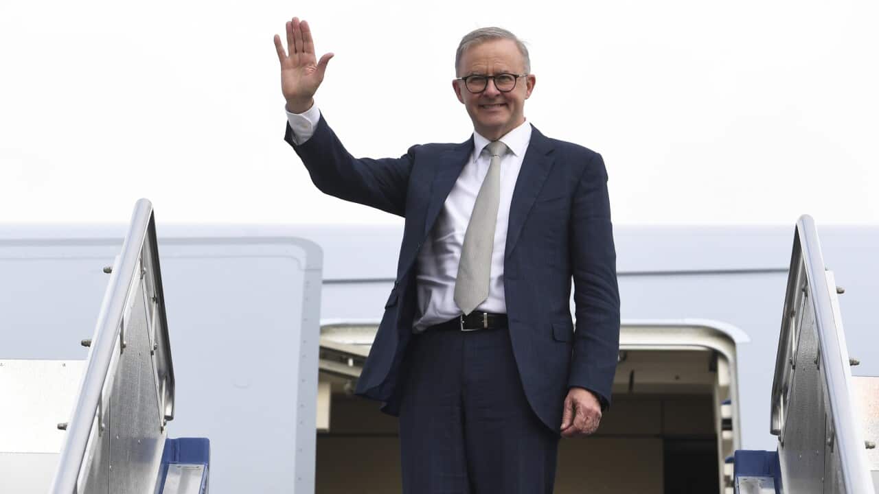 Anthony Albanese waves ahead of boarding his plane