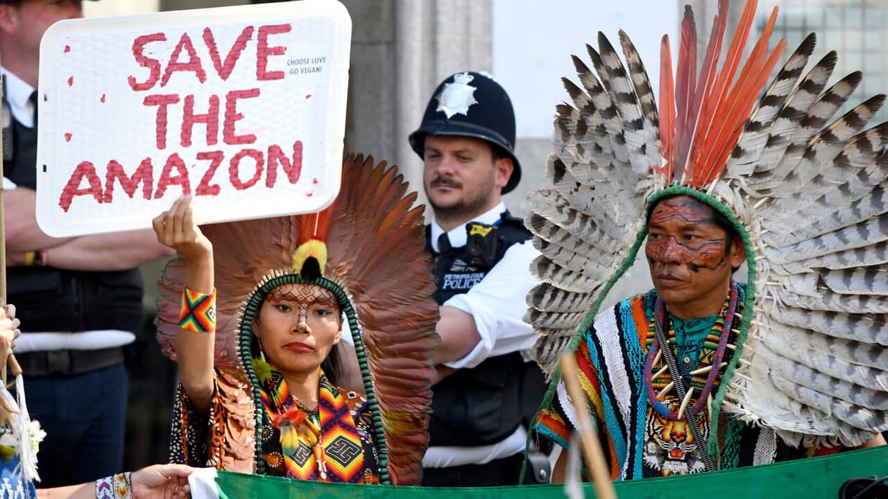 Extinction Rebellion protest the amazon rainforest burns in London, UK - 23 Aug 2019