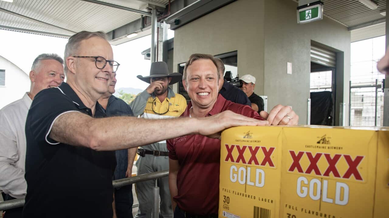 ANTHONY ALBANESE CAIRNS VISIT