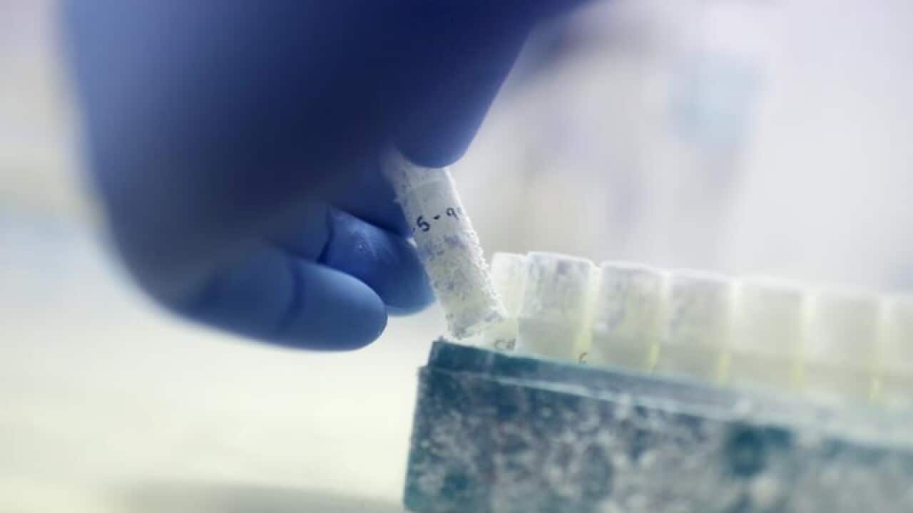 Doctor picks up a vial containing frozen donor sperm samples