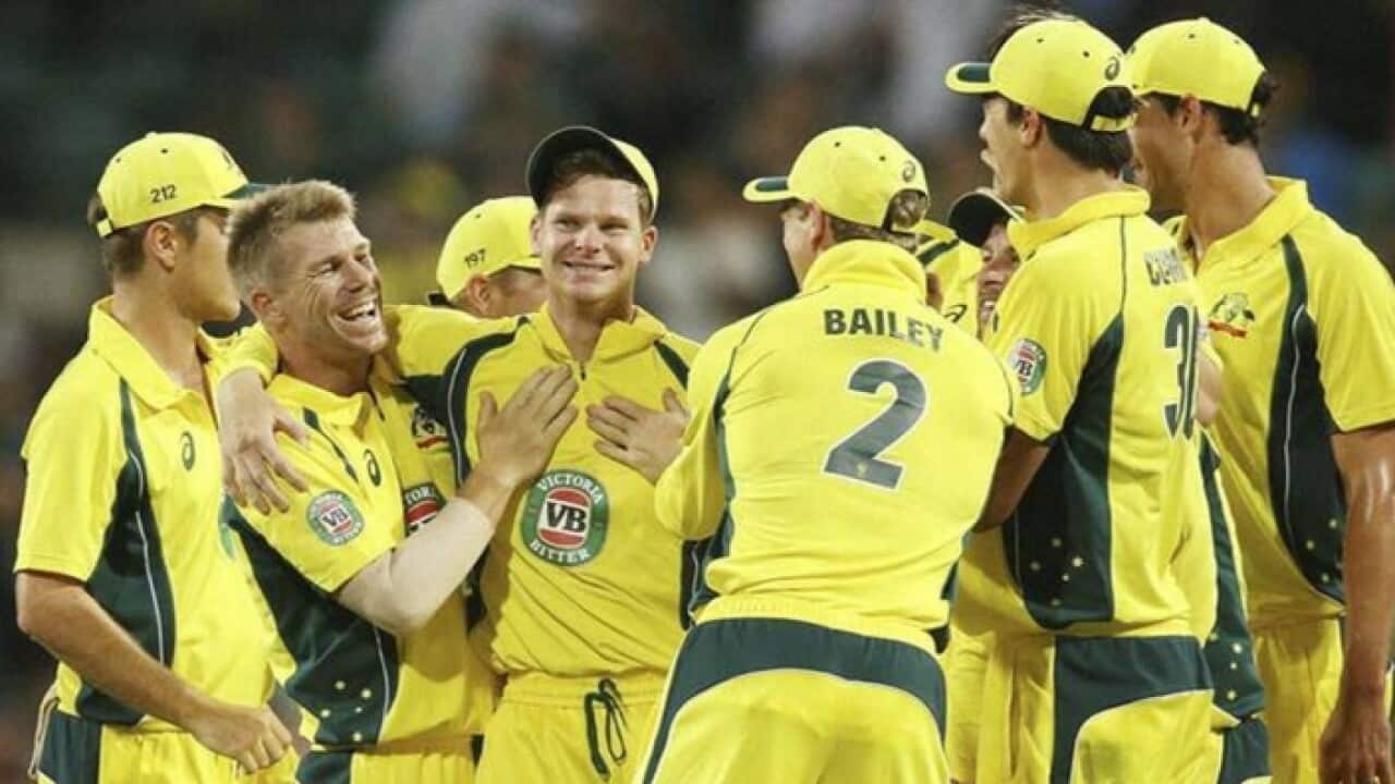 Cricket