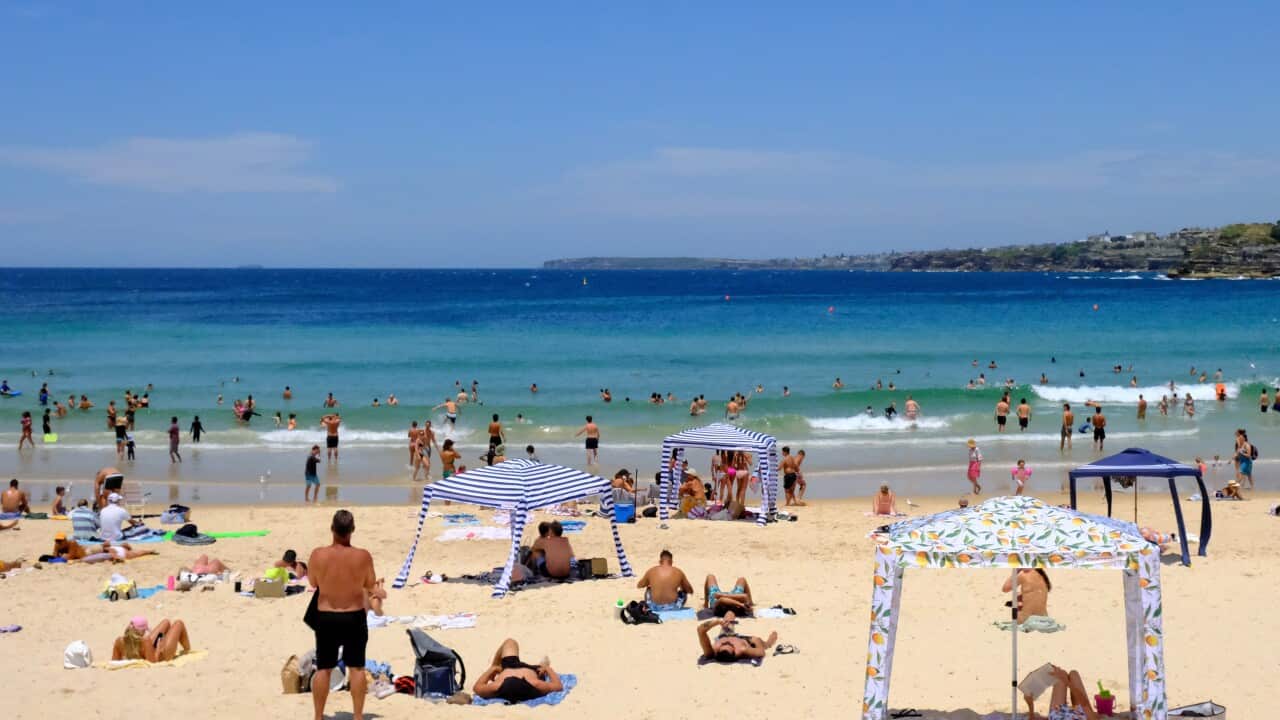 Image for read more article 'READ MORE'