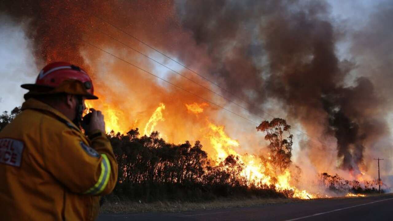 Bush Fire