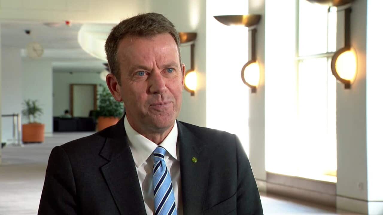 Opposition spokesman for Immigration, Dan Tehan at Federal Parliament Canberra - SBS News.jpg