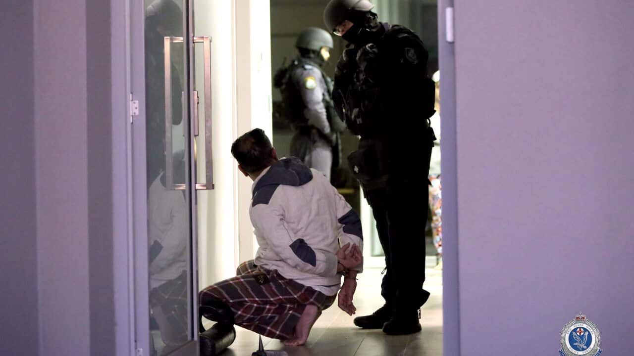 NSW Police alleged that the operation was an elaborate criminal enterprise.