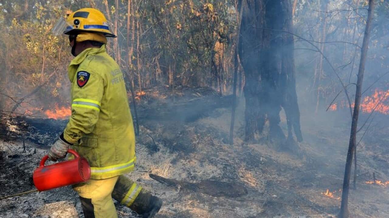A Queensland Fire and Rescue crew member.