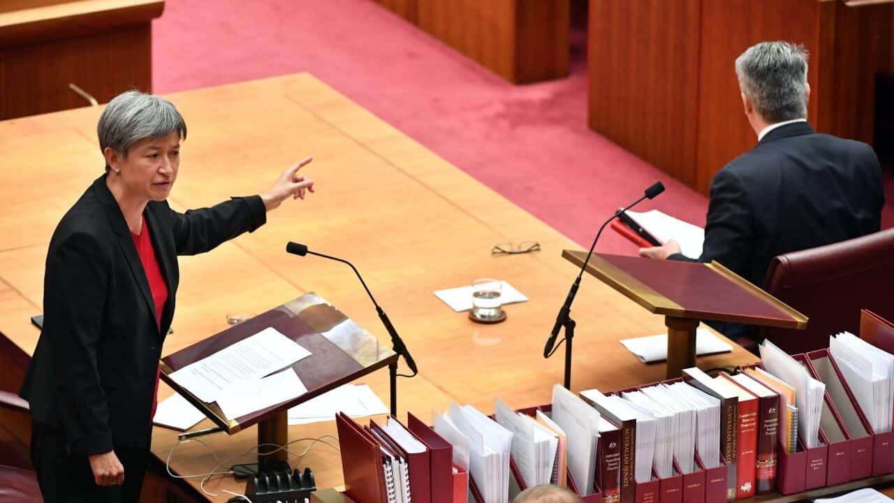 Labor Senator Penny Wong accuses Government senators of being 'cowards'