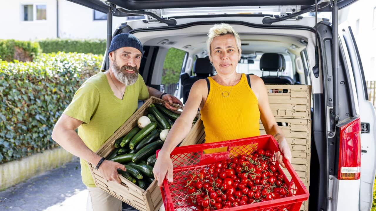 Image for read more article 'READ MORE'