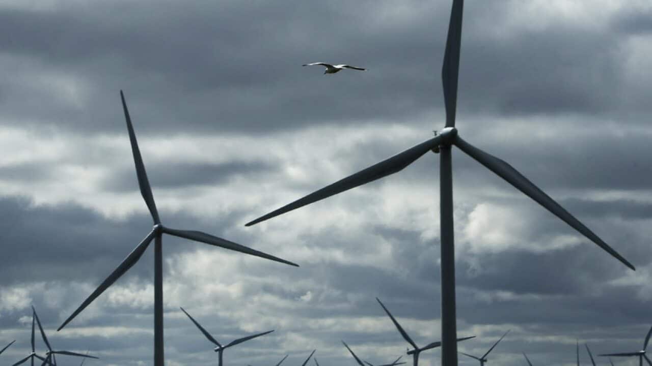 wind farms