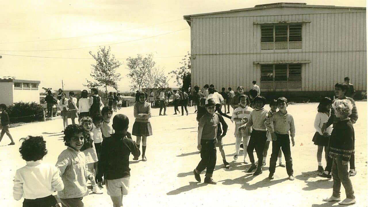 PikiWiki_Israel_16842_Events_in_Israel.jpg